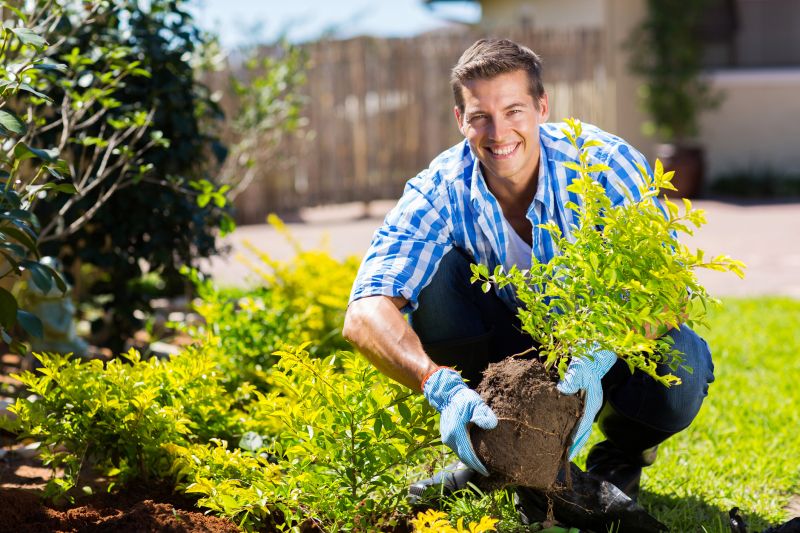 Bush Installation in Ventura County, CA