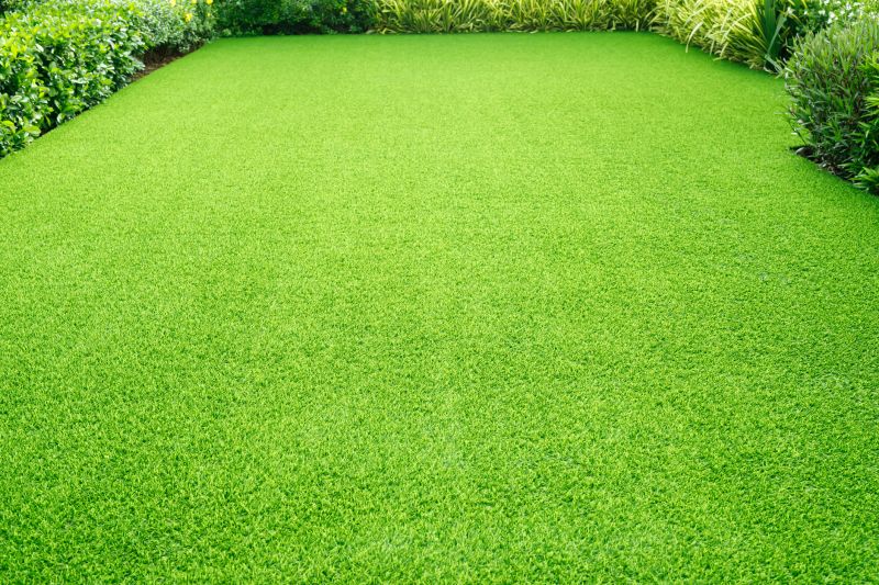Turf Removal Service detail